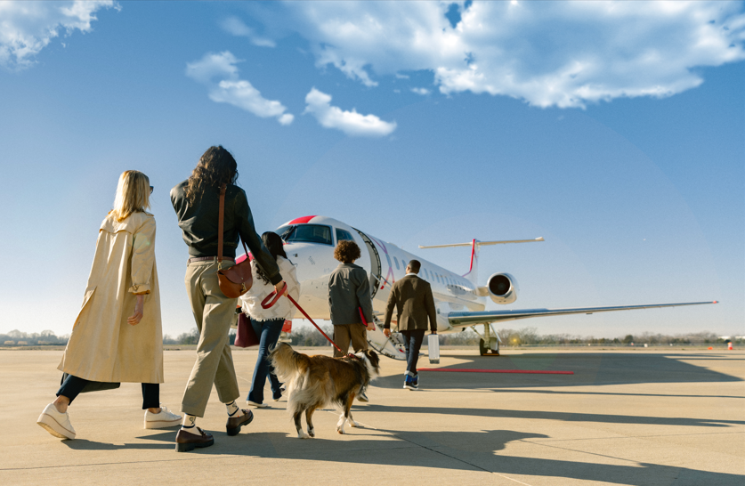 Travel Agencies